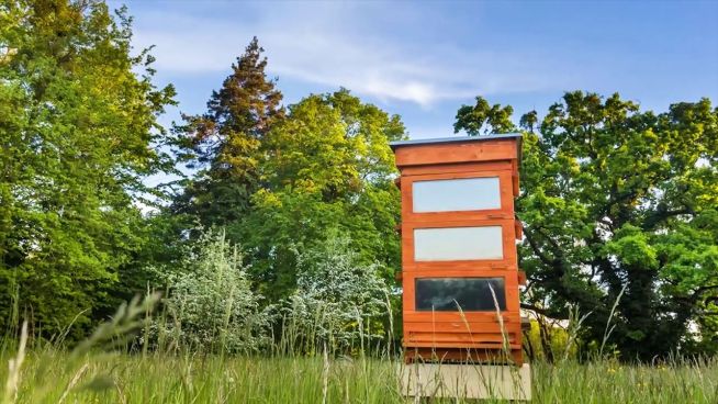 Moderne Solartechnik zur Rettung der Bienen