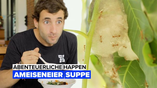 Abenteuerliche Happen: Ameisensuppe