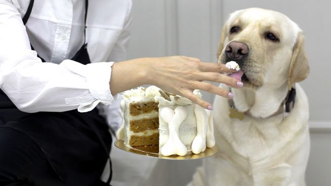 Carrot Cake für deinen Liebsten