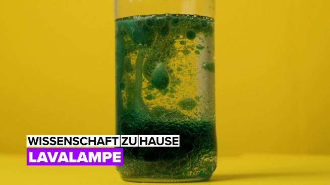 Wissenschaft zu Hause: Lavalampen